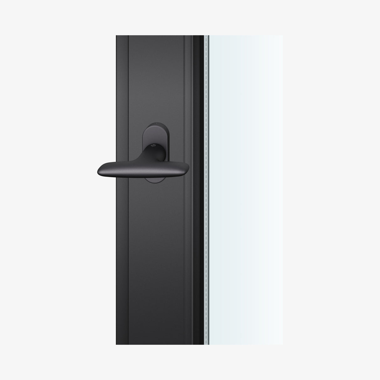 FSB 3456 Fensterolive in Aluminium 0810 Schwarz (C35), auf dunklem Fensterrahmen.