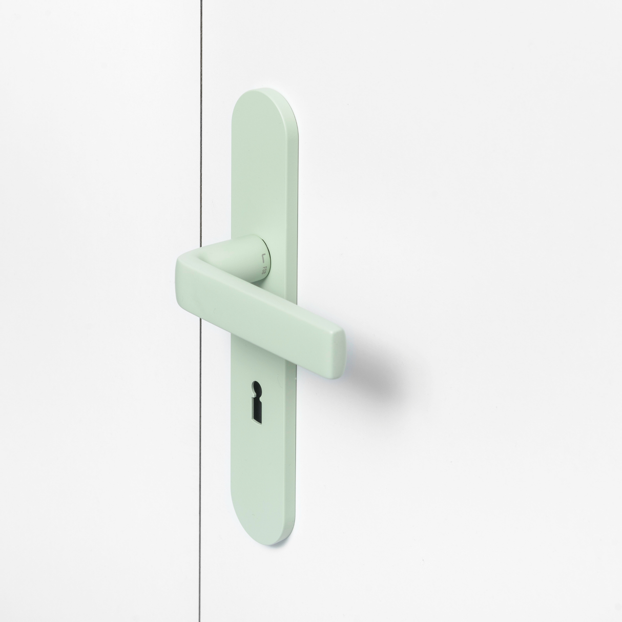 FSB 1267 Türdrücker mit Langschild in Les Couleurs® Le Corbusier® Vert Anglais Pâle auf weißer Tür, Seitenansicht.