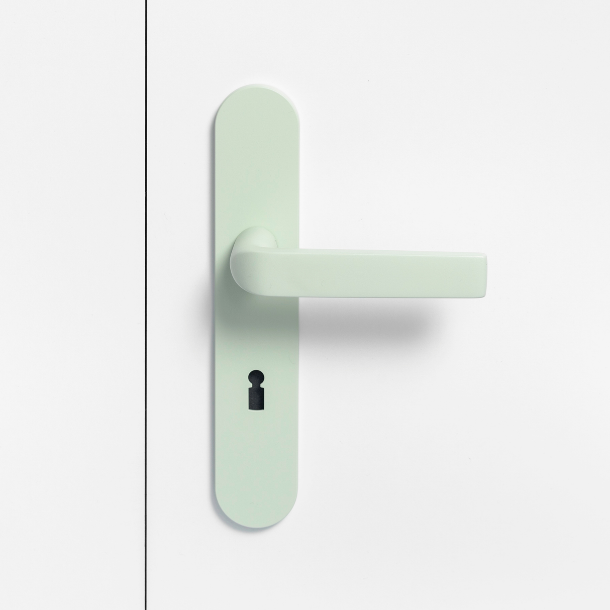 FSB 1267 Türdrücker mit Langschild in Les Couleurs® Le Corbusier® Vert Anglais Pâle auf weißer Tür, Frontansicht.