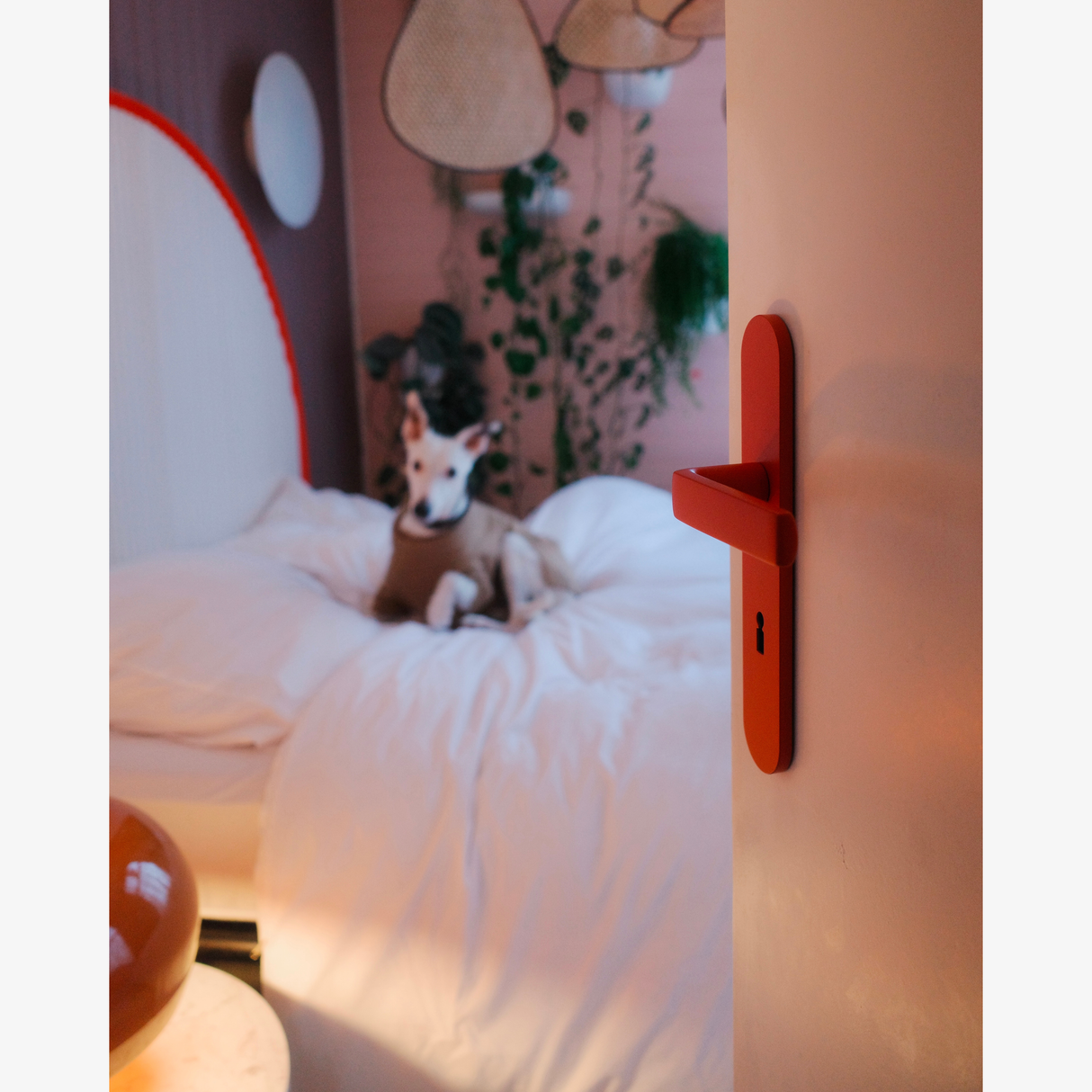 Rote FSB 1267 Langschildgarnitur in Les Couleurs Le Corbusier rouge vermillon 31 an Tür mit Hund im Schlafzimmer.