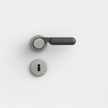 FSB 1138 Drückergarnitur von Dieter Rams rgs mit Rundrosetten in Aluminium Pure 0013 und Schwarz 0810, freigestellte Produktansicht.